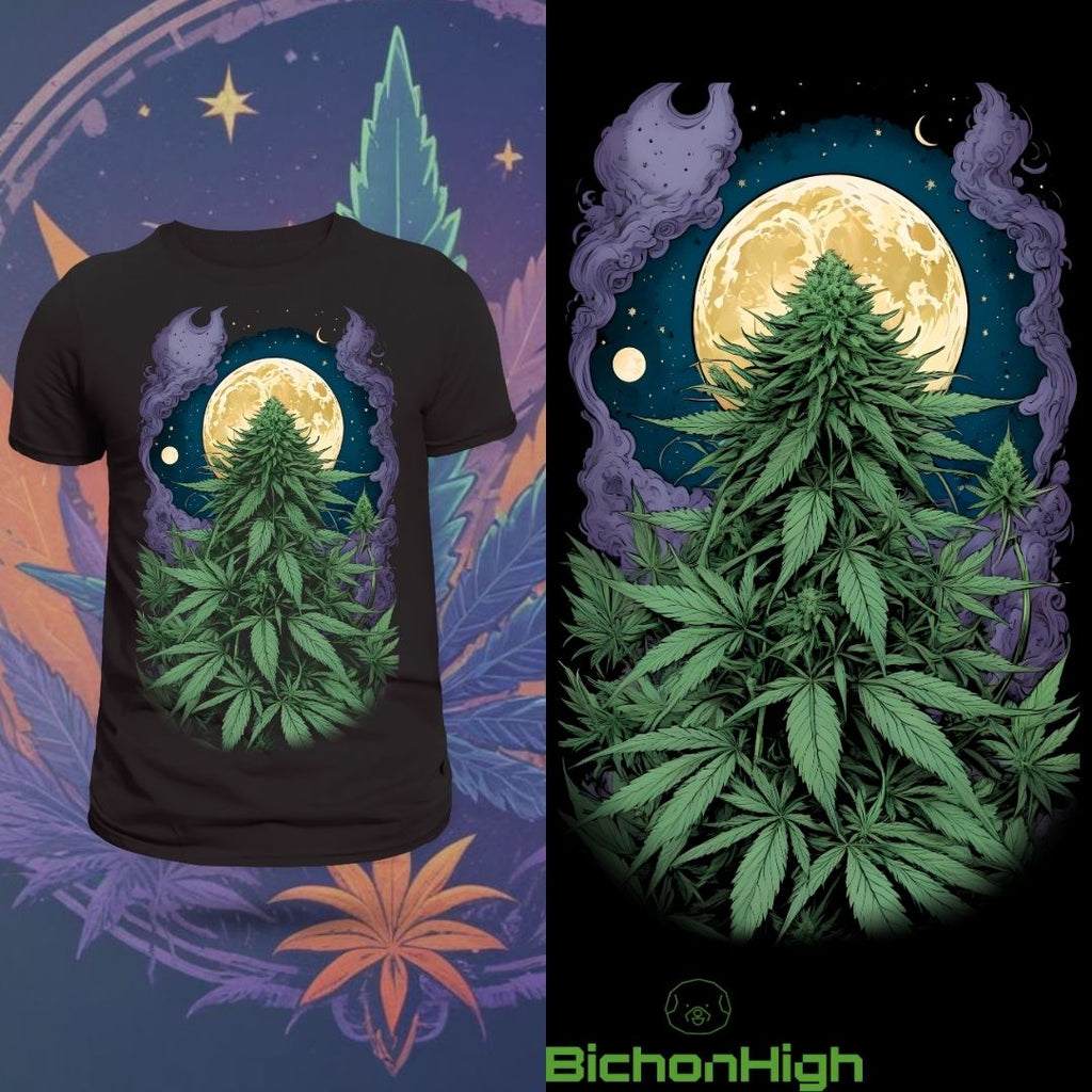 JungleHigh1
